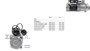 Imagen de MOTOR DE ARRANQUE VW 8150E CONSTELLATION/WORKER 17250